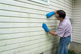 Affordable Siding Repair and Maintenance Services in Poquoson, VA